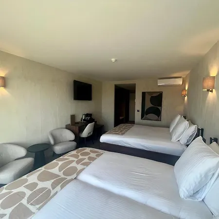 Palace מלון 4*