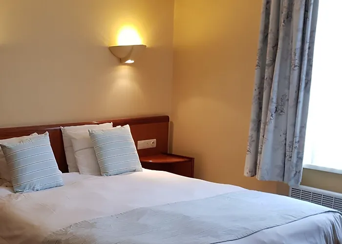 Palace By Cw Collection 5*